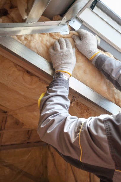 Best Attic Insulation Installation  in Lakewood Clu, MI