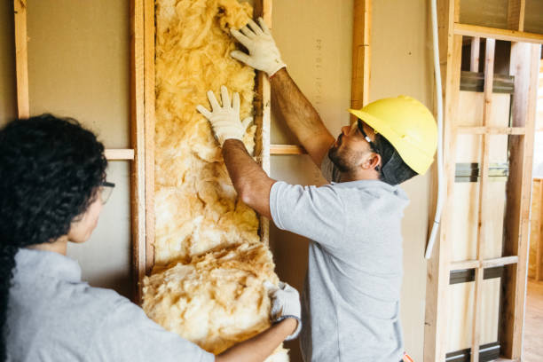 Best Best Insulation Companies  in Lakewood Clu, MI